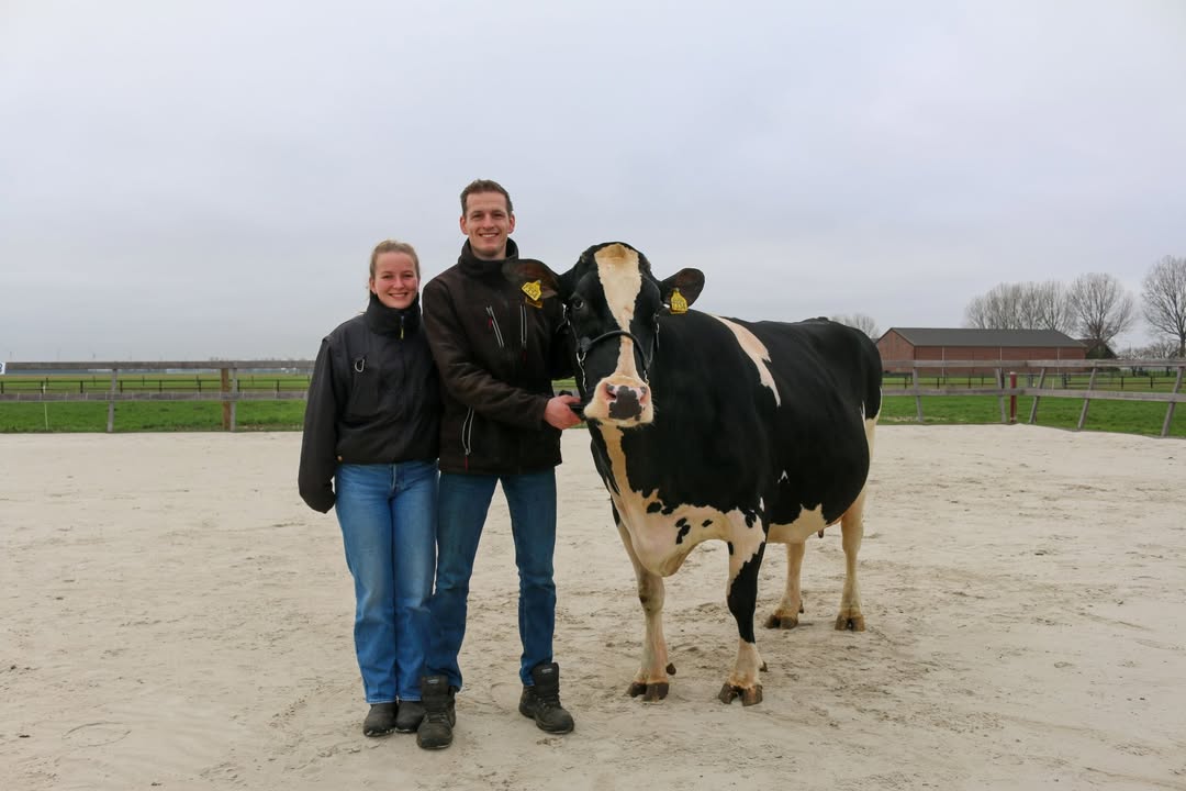 Zuivelboerderij van Wees