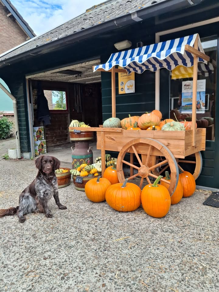 Zuivelboerderij van Wees